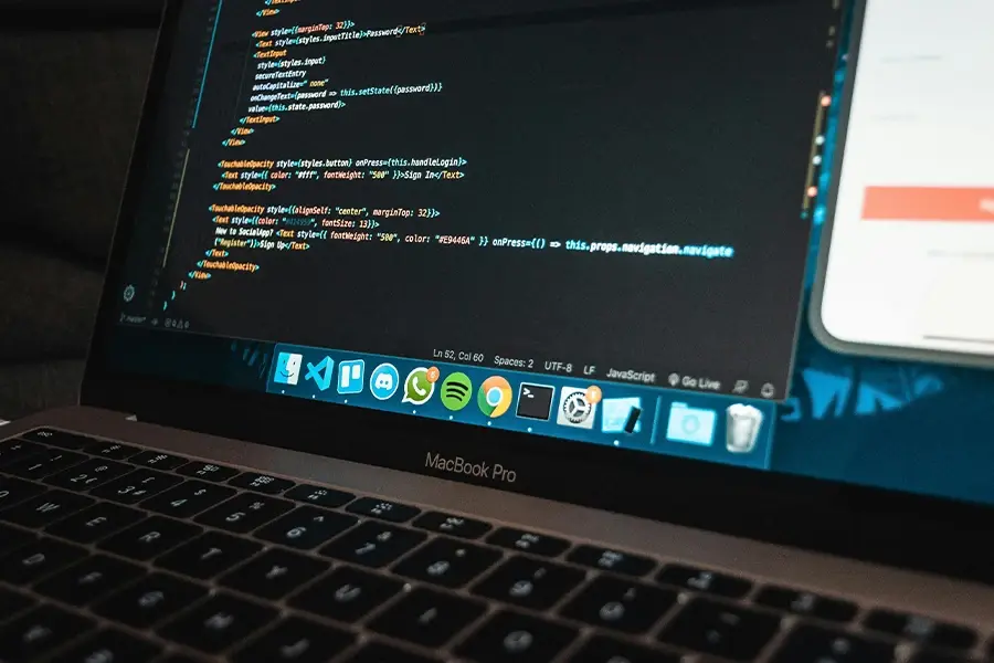 development of Custom Website Solutions 